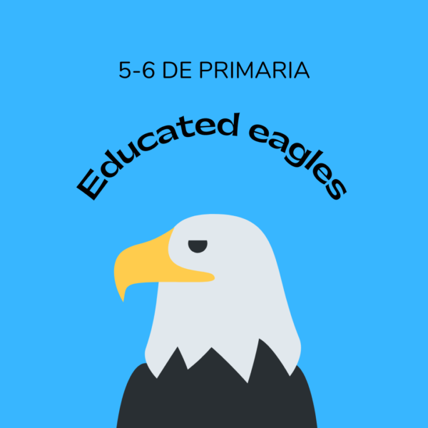 5-6 de primaria